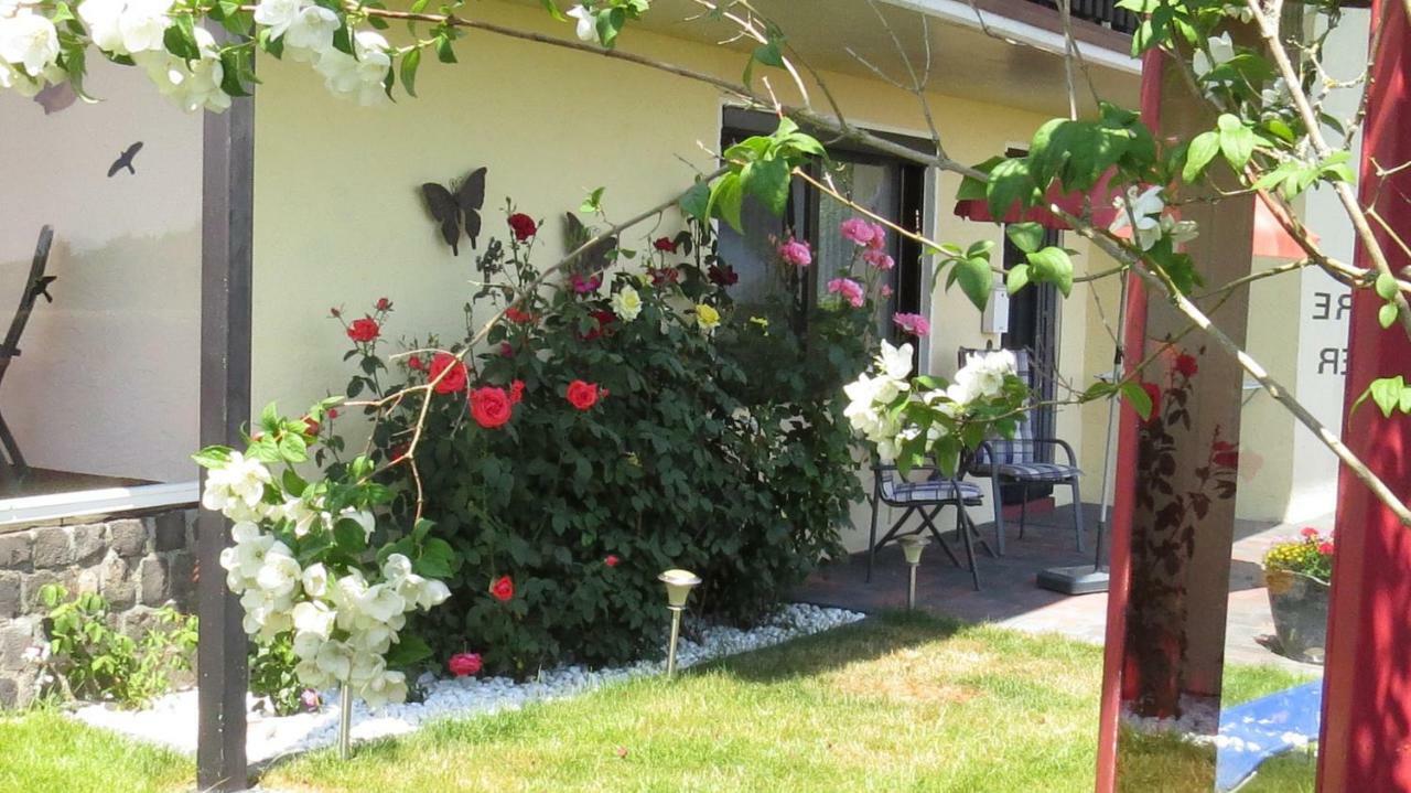Ferienwohnung Panoramablick 슈라이덴 외부 사진